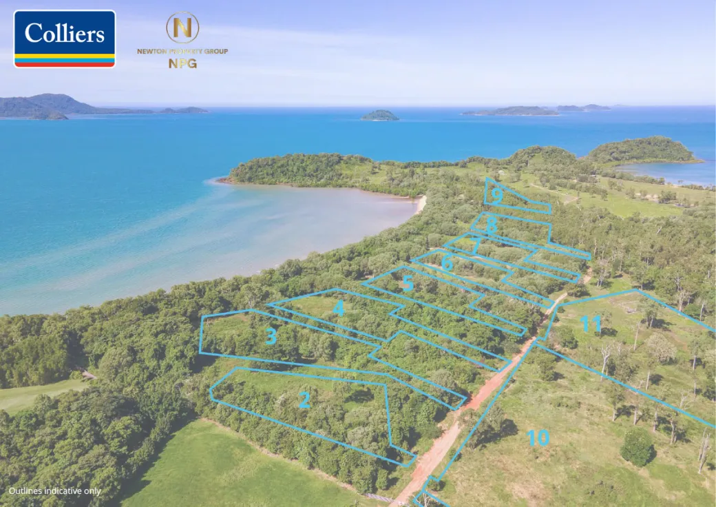 The lot plan, blue boundary outlines over an aerial