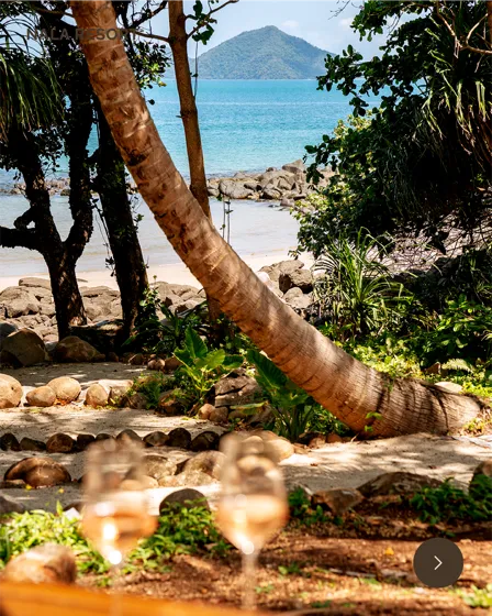 Between reef and rainforest, carousel slide 1