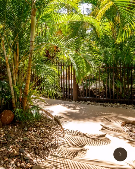 Between reef and rainforest, carousel slide 2