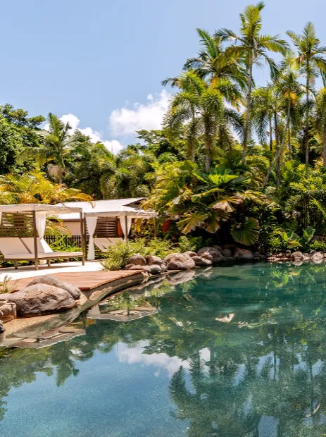 Nala Resort, the pool under palms