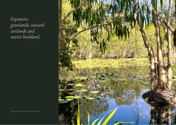 One line in italics beside a photograph of the wetland, lilies on the water.