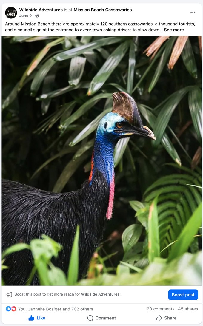 Wildside cassowary story shared to Facebook