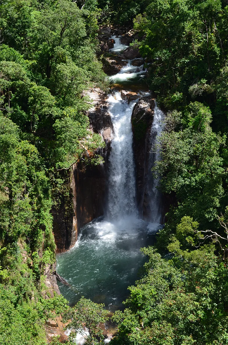 A waterfall in the Wet Tropics rainforest